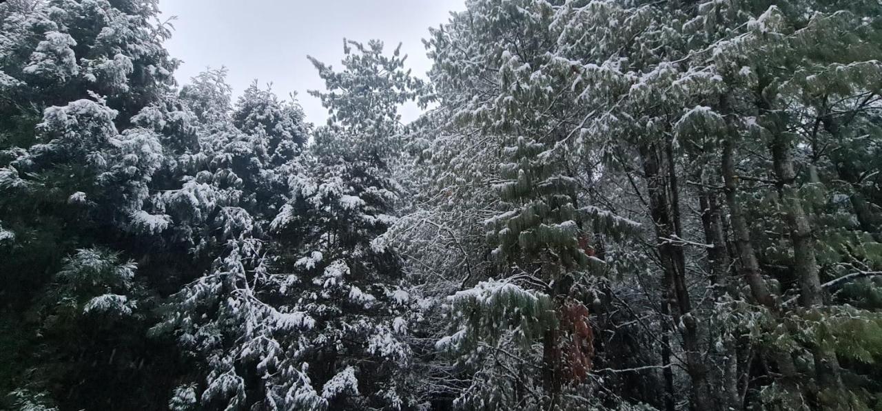 Dewa Elegance Ξενοδοχείο Tawang Εξωτερικό φωτογραφία